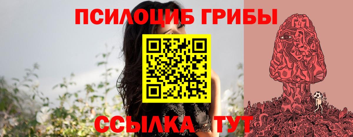 Псилоцибиновые грибы MAGIC MUSHROOMS  Вход с VPN  Новочебоксарск 